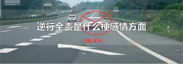 逆行全责是什么梗感情方面