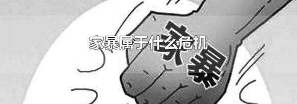 家暴属于什么危机