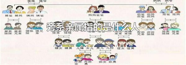 旁系亲属指的是什么人