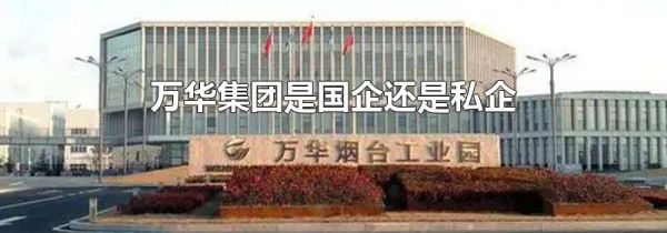 万华集团是国企还是私企