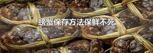 螃蟹保存方法保鲜不死