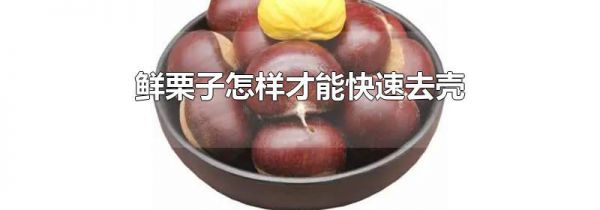 鲜栗子怎样才能快速去壳