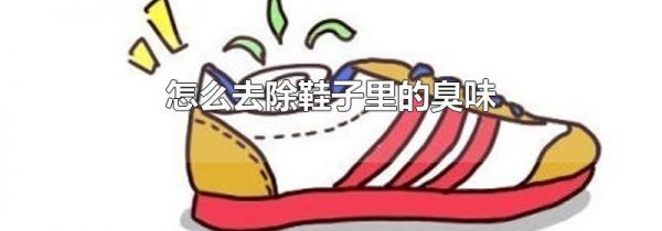 怎么去除鞋子里的臭味