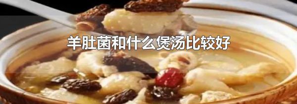 羊肚菌和什么煲汤比较好