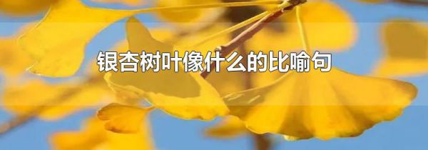 银杏树叶像什么的比喻句