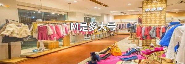 M是多大号