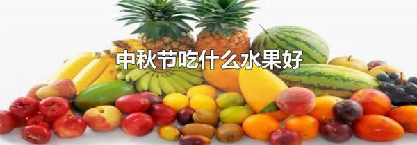 中秋节吃什么水果好