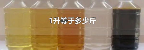 1升等于多少斤