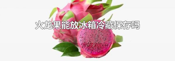 火龙果能放冰箱冷藏保存吗