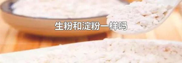 生粉和淀粉一样吗