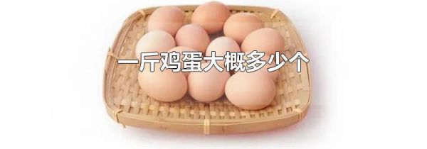 一斤鸡蛋大概多少个