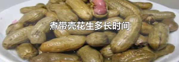 煮带壳花生多长时间