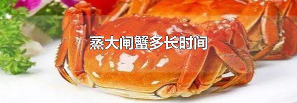 蒸大闸蟹多长时间