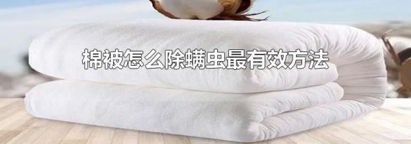 棉被怎么除螨虫最有效方法