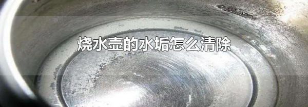 烧水壶的水垢怎么清除