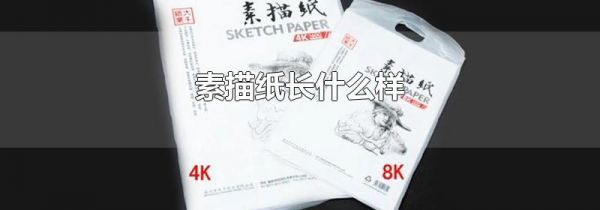 素描纸长什么样