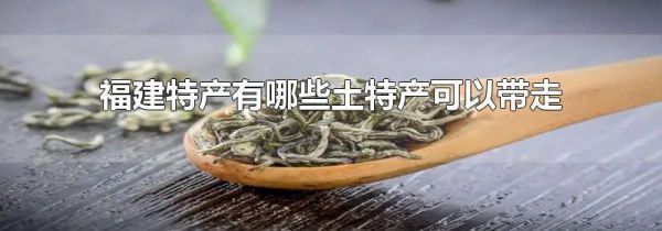 福建特产有哪些土特产可以带走