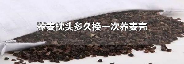 荞麦枕头多久换一次荞麦壳