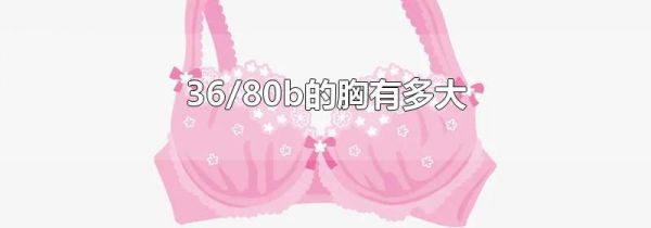 36/80b的胸有多大