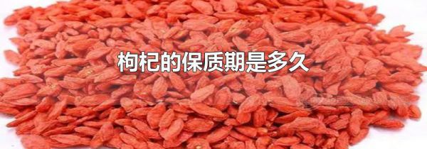 枸杞的保质期是多久