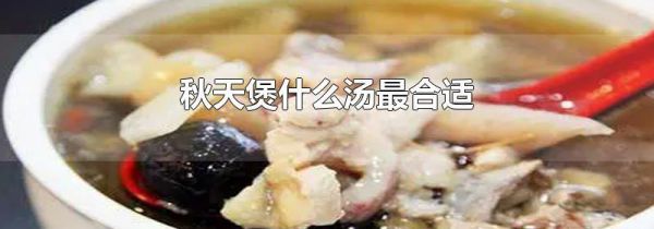 秋天煲什么汤最合适