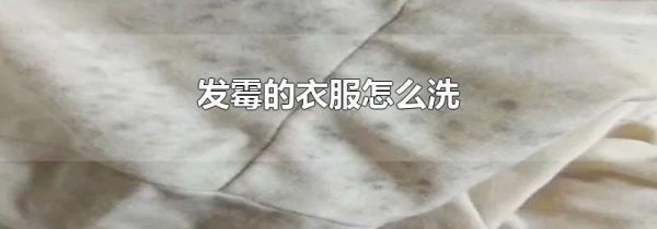 发霉的衣服怎么洗