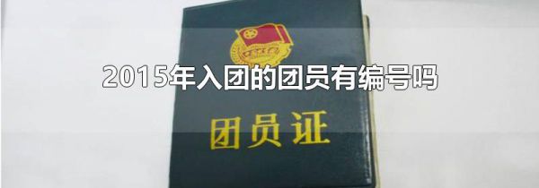 2015年入团的团员有编号吗