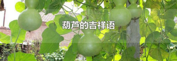 葫芦的吉祥语