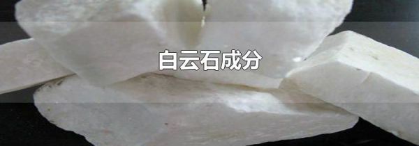 白云石成分