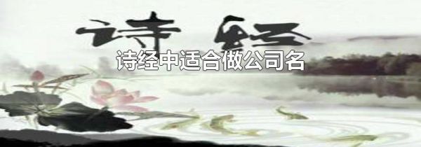 诗经中适合做公司名