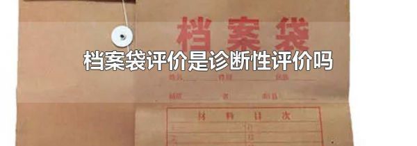 档案袋评价是诊断性评价吗