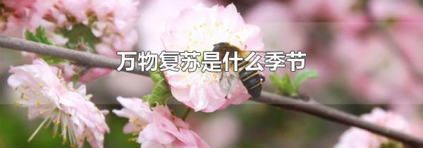 万物复苏是什么季节