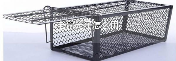 老鼠笼子怎么用