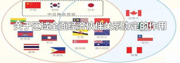 关于区域全面经济伙伴关系协定的作用
