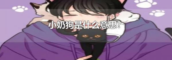 小奶狗是什么意思?