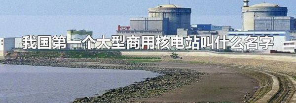我国第一个大型商用核电站叫什么名字