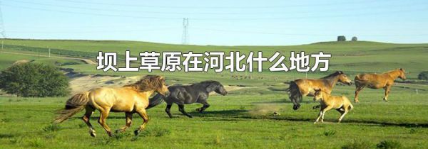 坝上草原在河北什么地方