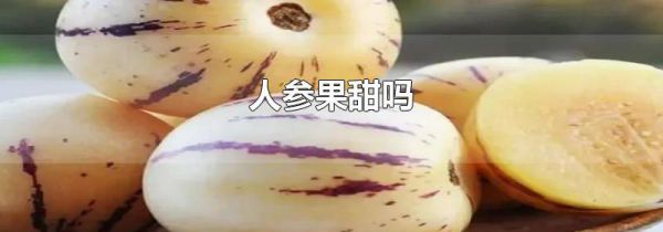 人参果甜吗