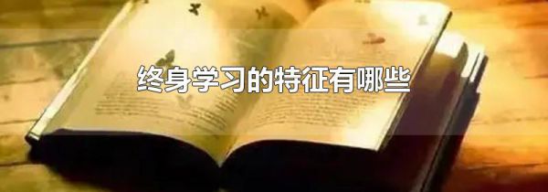 终身学习的特征有哪些