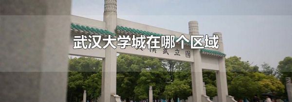 武汉大学城在哪个区域