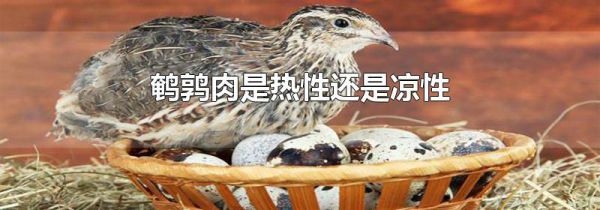 鹌鹑肉是热性还是凉性