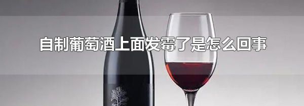 自制葡萄酒上面发霉了是怎么回事