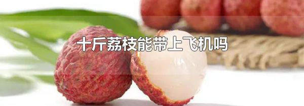 十斤荔枝能带上飞机吗