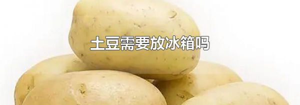 土豆需要放冰箱吗