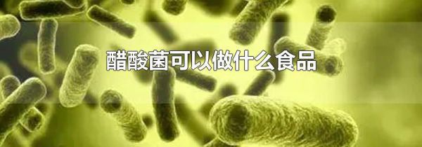 醋酸菌可以做什么食品