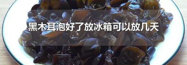 黑木耳泡好了放冰箱可以放几天