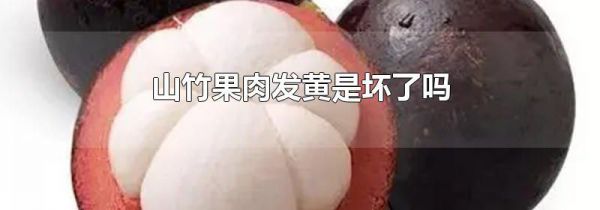 山竹果肉发黄是坏了吗
