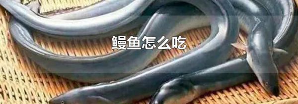 鳗鱼怎么吃
