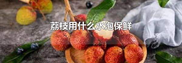 荔枝用什么水泡保鲜