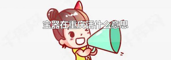 宝器在重庆话什么意思